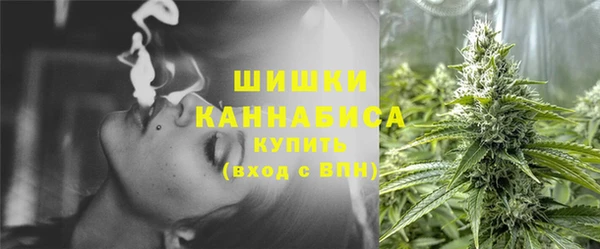 гидропоника Богданович